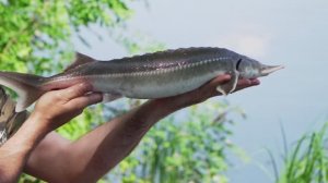 Tisko cvece EP248_02072024