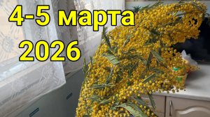 4 и 5 марта 2026. Тяжба закончена...