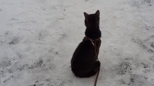 Посидел, свежим воздухом подышал.