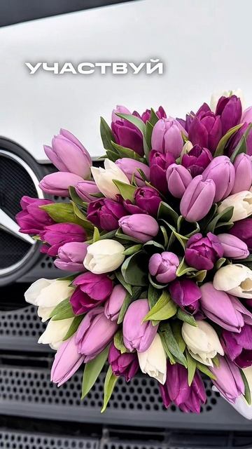 💐РОЗЫГРЫШ ДЛЯ ДАЛЬНОБОЙЩИКОВ💐