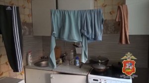 В Московской области полиция выявила организатора незаконной миграции и 68 правонарушений