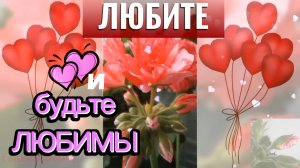 8 марта. Счастье вам.
С праздником дорогие женщины.