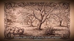 Жестокая правда о счастье | Антон Чехов | Что скрывает “Крыжовник”