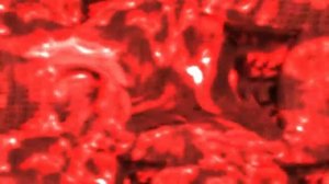 Combat Initiation -  Cogito Ergo Sum ~ Conviction