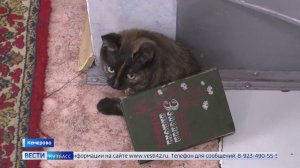 Уже почти месяц нет воды у пенсионеров из деревни Красная в Кемерове