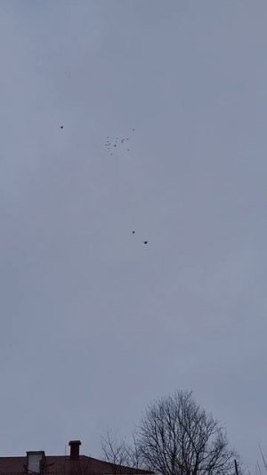 5 марта набросы