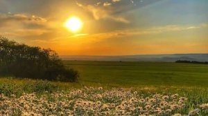 Вот на свадьбу колинз систрс. Свадьба 7 марта кто не знает. И да это не актив просто подарок.