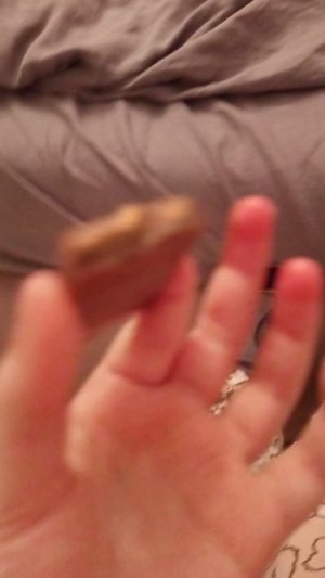 тест шоколадки от мистера биста 😱