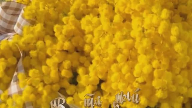 Виртуальный букет Стихи Розалии Мартысь. Музыка и вокал Евгения Никитина. Клип Валентины Зубковой.