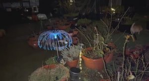 Получили несколько фонариков на солнечной батарее.