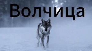 Волчица..по другому нельзя...