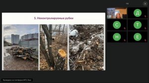 Проблема благоустройства особо охраняемых зеленых территорий Москвы на примере ООЗТ Крылатские холмы