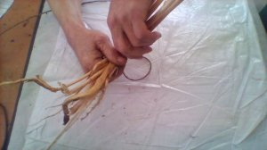 Как привязать веревку к траве.Лайфхаки.