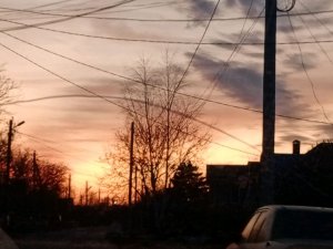 болтаем, разговариваем, рисуем, делаем биологию ОГЭ