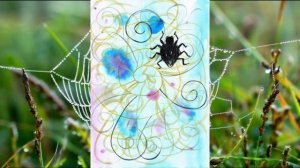 Чудеса Ярославушки. Паучок. (рассказ).