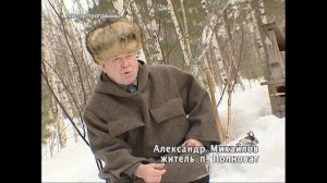 Трое, не считая кота в деревне