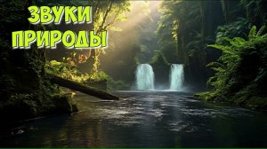 Звуки природы, шум воды, музыка для сна и отдыха, relax music
