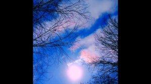 Где же весна? ( 5 марта)