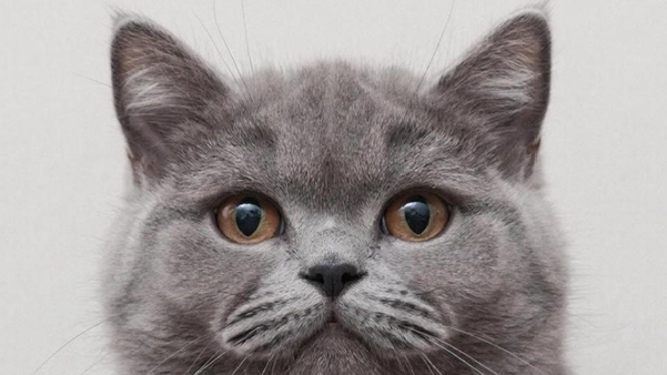 изменения семечки и проверка на миф про пульт