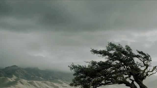 Пролетая ворон с утра