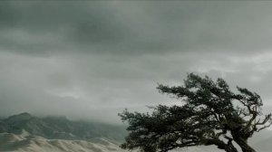 Пролетая ворон с утра