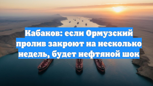 Кабаков: если Ормузский пролив закроют на несколько недель, будет нефтяной шок