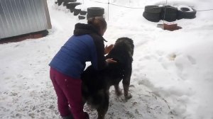 Мы все обожаем массаж. Часть2