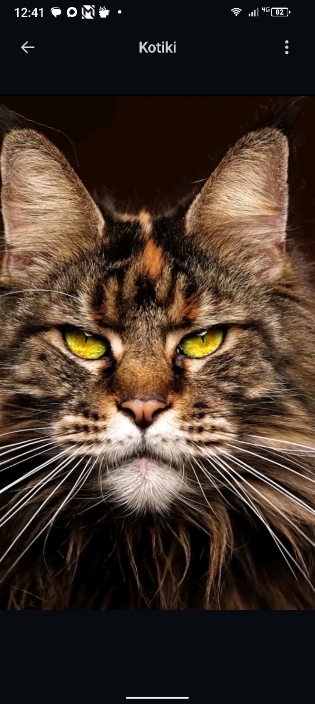 Челленж 24 часа в комнате. My Little Ellis.