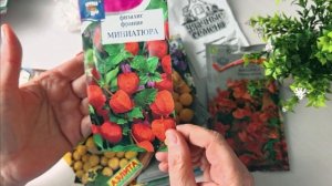 ВЛОГ. 5 марта 2026г. Обзор куклы. Разбор семян