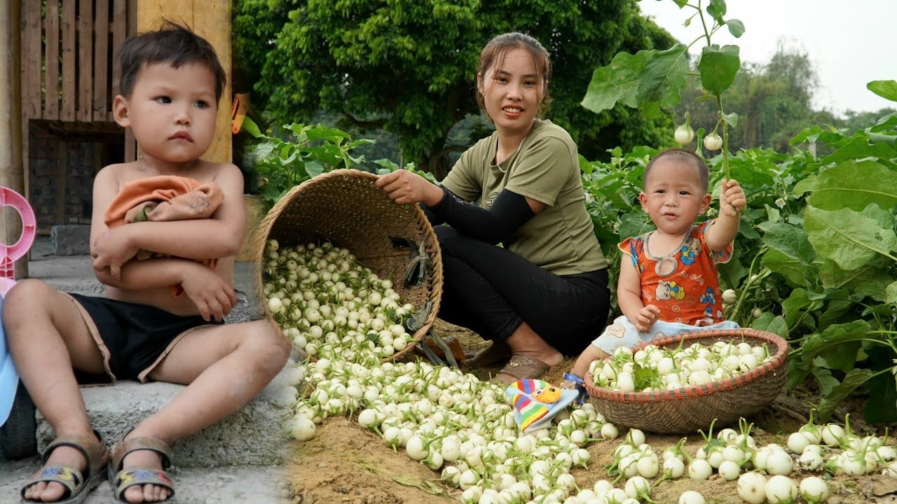 Мама поневоле. Дуонг. Варю кашу и кормлю своих детей. Собираю белые баклажаны на продажу. Серия 77