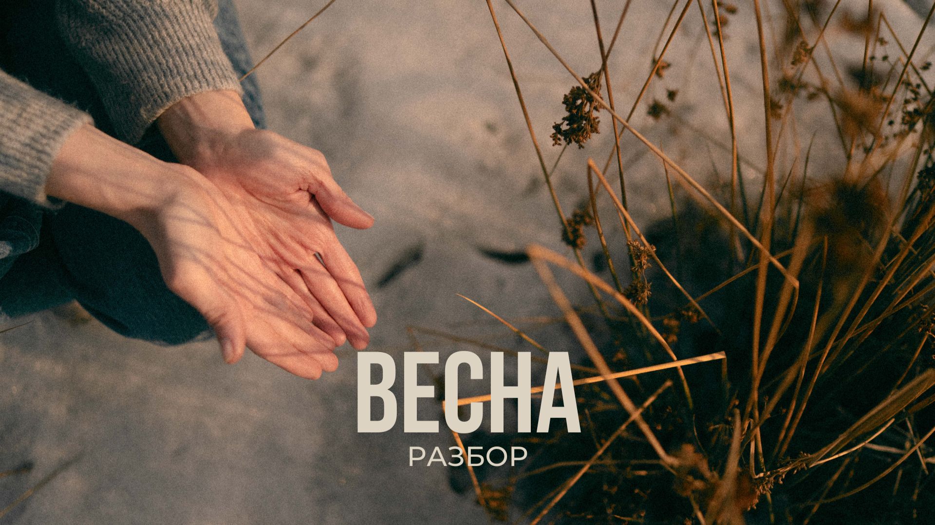 Разбор. Весна