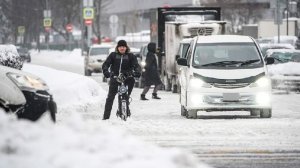 Путин поручил подготовить ограничения для езды на электровелосипеде по тротуарам