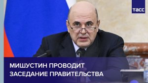 Мишустин проводит заседание правительства