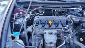 аккород рест