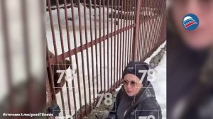 Медведь Михаил едва не погиб из-за угощения посетителей зоопарка в Токсово