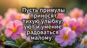 С 8 марта! Лучшее цветочное поздравление