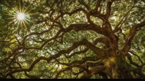 К ВЕЛИКОМУ РА. слушайте эту мантру ЖИЗНИ. Пропустите через сознание