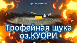 оз.Куори-Трофейная щука.#РР4#Русскаярыбалка4