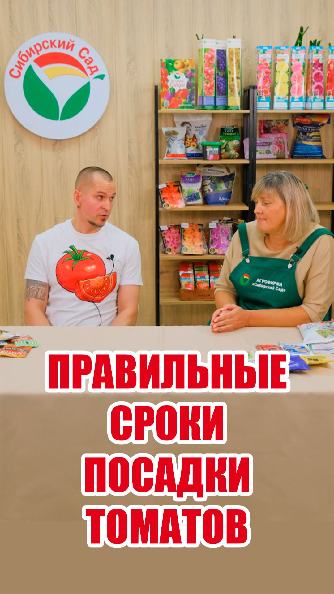 Правильные сроки посадки томатов