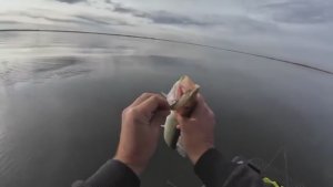 ЗАКРЫТИЕ СЕЗОНА. ТРУДОВАЯ РЫБАЛКА