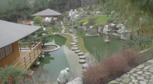 Весна в Крыму (2024г.)