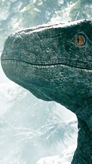 #Blue Edit Midfindino