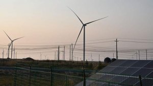 Трамп раскритиковал европейцев за покупку ветрогенераторов у Китая