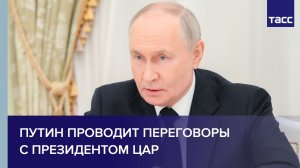 Путин проводит переговоры с президентом ЦАР