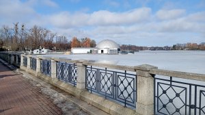 Лебедь на льду!