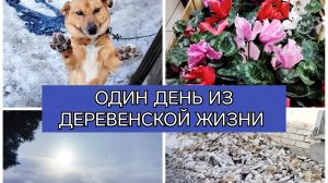 05-03-2026 Гуляю по деревне... Сходила в магазин... Малыш хороший пёсик)