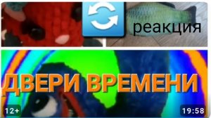 реакция на двери времени