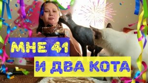 41 год и два кота: Идеальная формула счастья или крах? #коты #деньрождения #старость #после40 #жиза