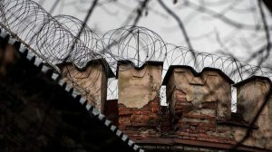 Суд назначил семь лет колонии Лазаревой за уклонение от обязанностей иноагента