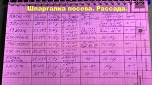 Шпаргалка посева. Парник для выращивания рассады в домашних условиях.